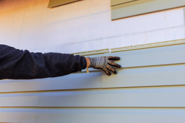 Best Wood Siding Installation  in Homer, LA